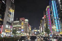 Tokyo bij nacht