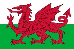 Y Ddraig Goch